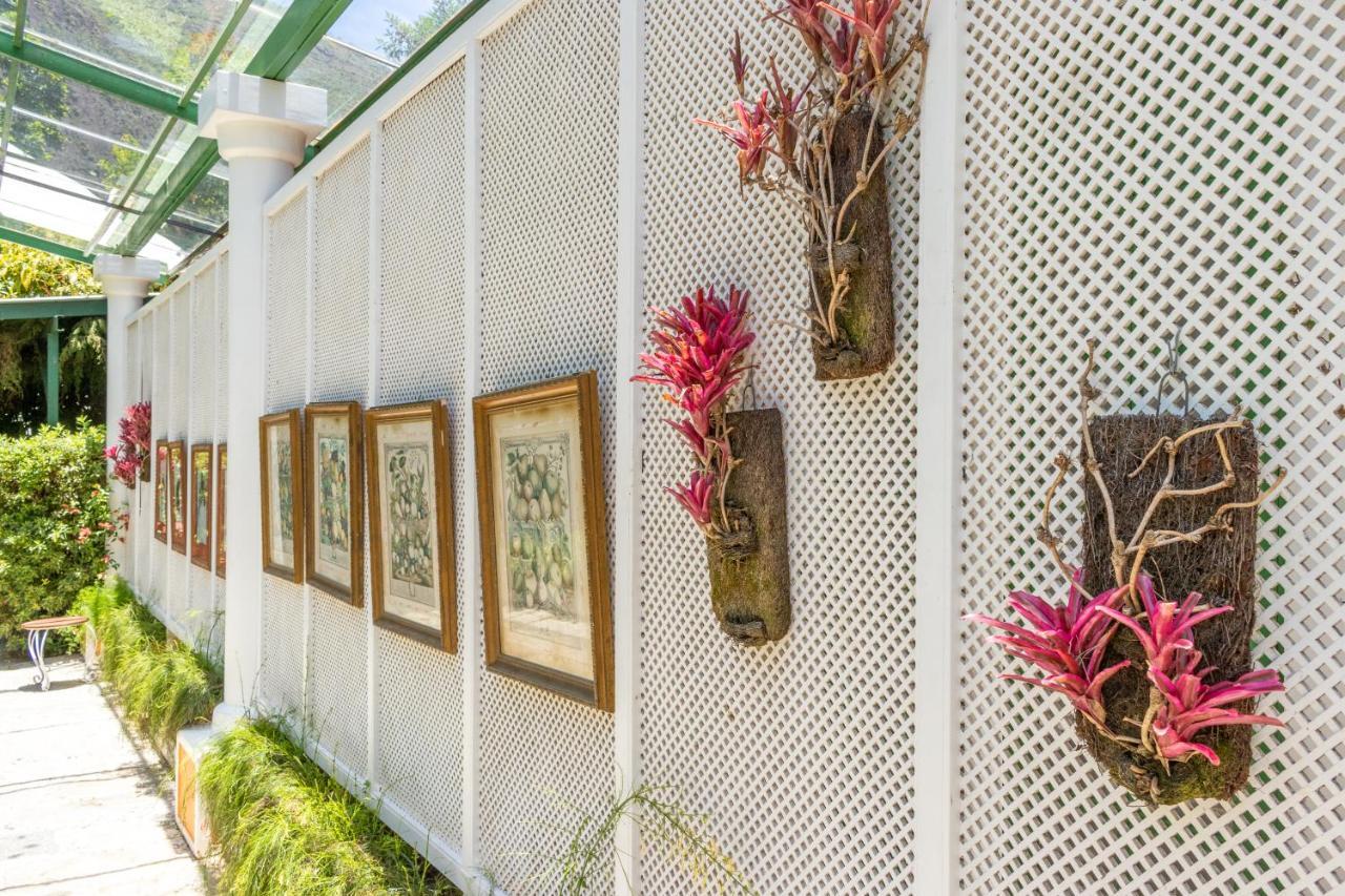 Locanda Della Mimosa Cascatinha Zewnętrze zdjęcie